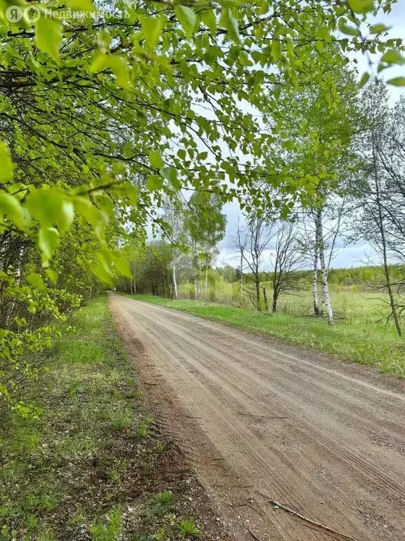 Участок в Ярославский муниципальный округ, деревня Пестрецово (401 м) - Фото 1