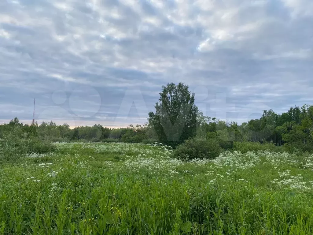 Участок 17,7 сот. (СНТ, ДНП) - Фото 0