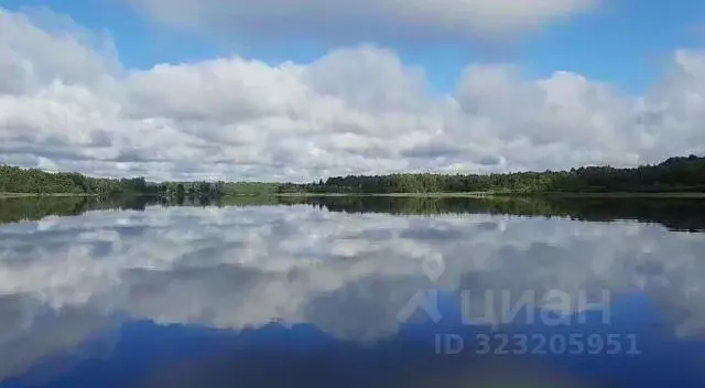 Участок в Псковская область, Плюсский муниципальный округ, д. Заозерье ... - Фото 1