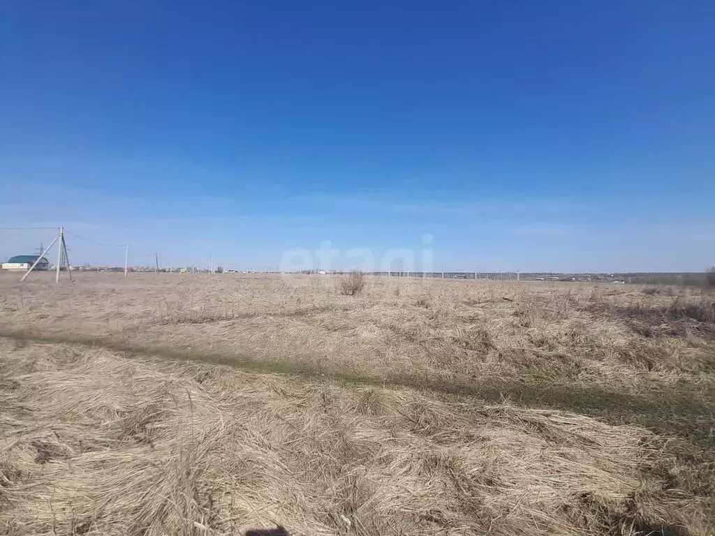 Участок в Саратовская область, Балашовский район, Хоперское ... - Фото 1