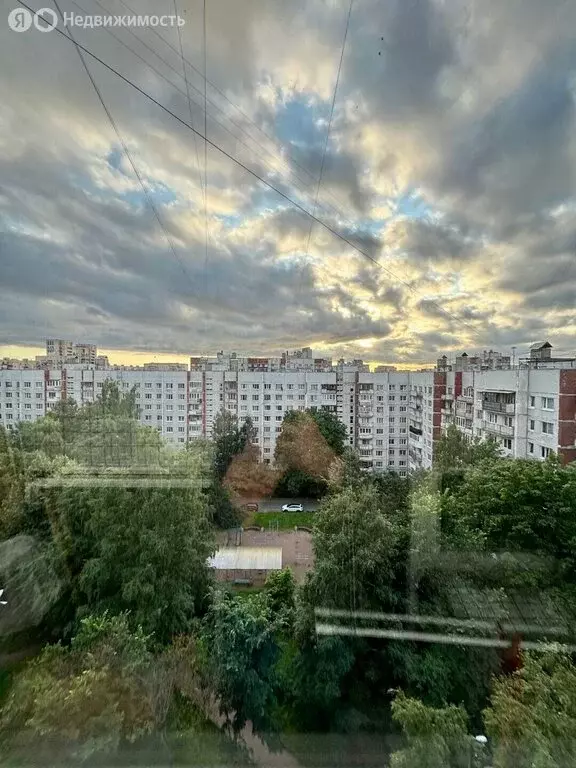 1-комнатная квартира: Санкт-Петербург, Наличная улица, 40к5 (38.7 м) - Фото 1