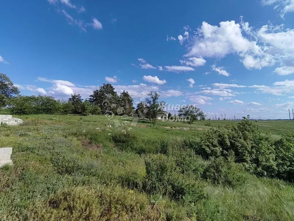 Участок в Волгоградская область, Городищенский район, Царицынское ... - Фото 0