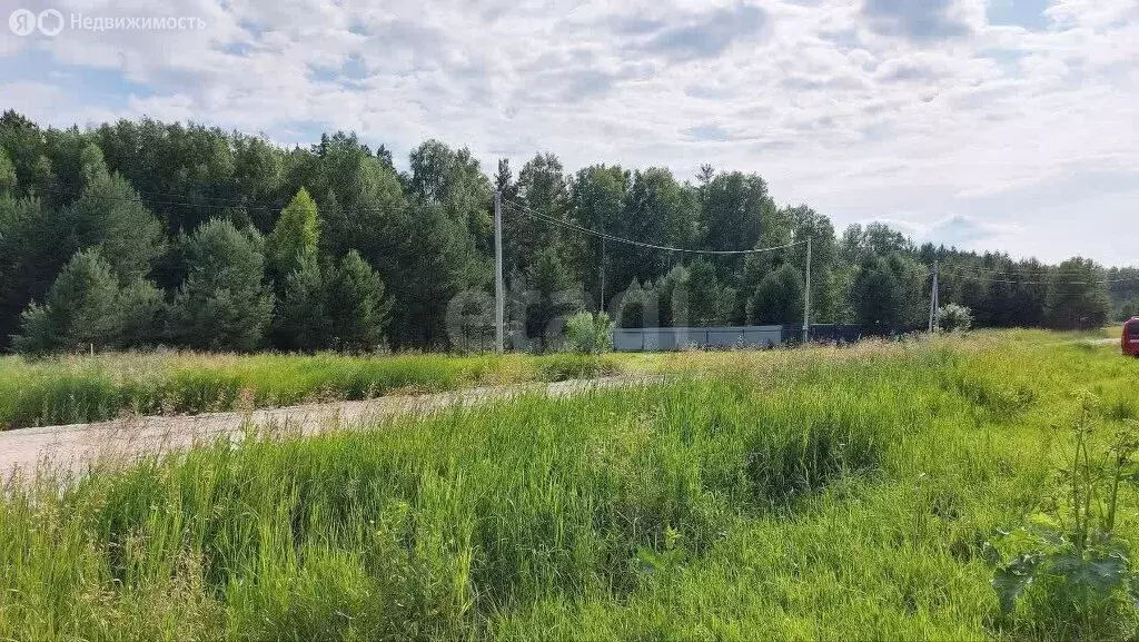 Участок в Тюнево, Урожайная улица (15 м) - Фото 1