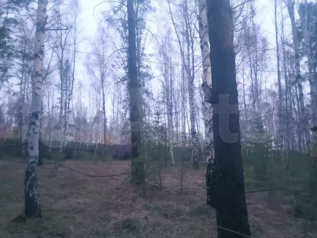 Участок 11,5 сот. (ИЖС) - Фото 1