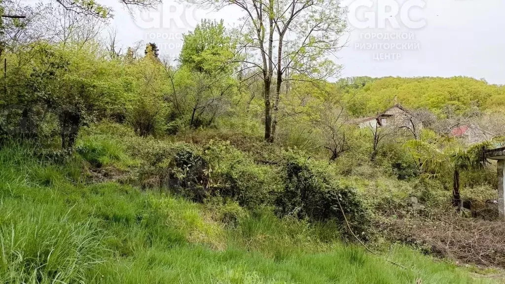Участок в Краснодарский край, Сочи А-147, 134-й км (4.09 сот.) - Фото 2