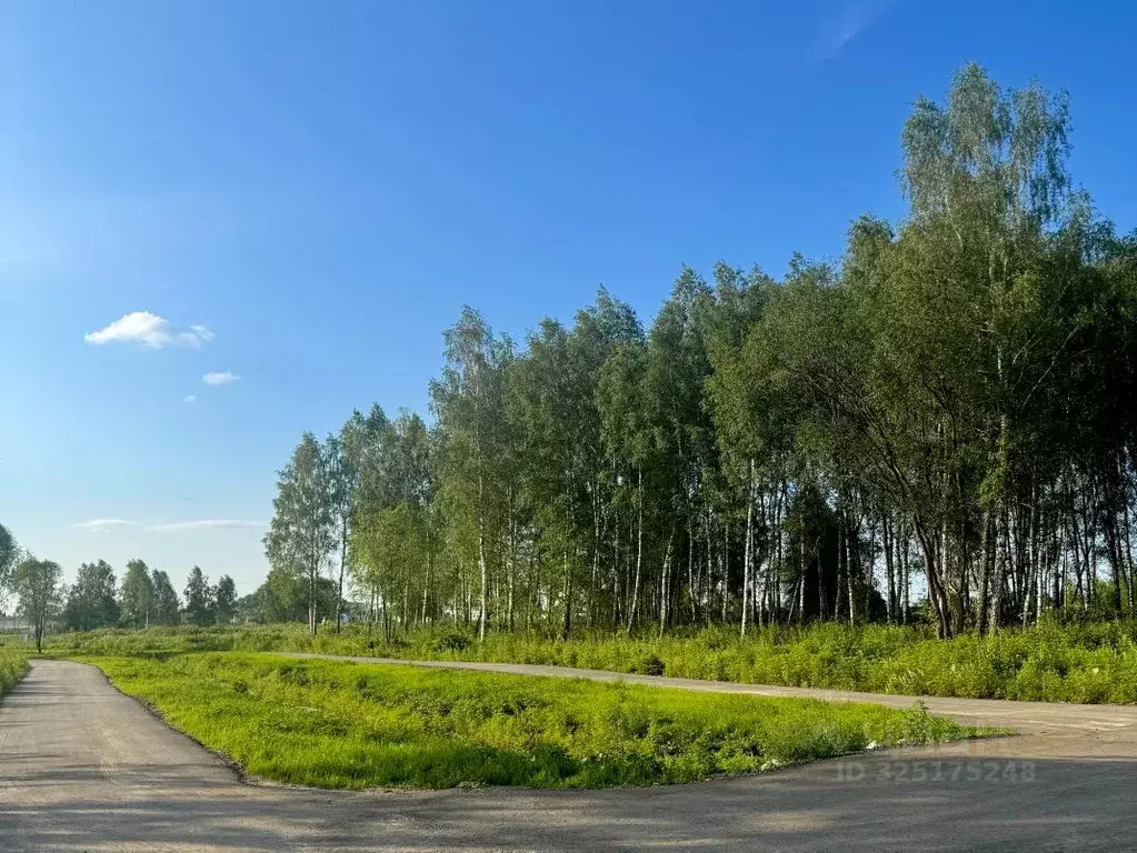 Участок в Московская область, Раменский муниципальный округ, Березки ... - Фото 1