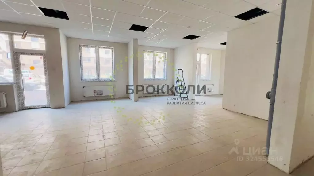 Помещение свободного назначения в Краснодарский край, Краснодар ул. ... - Фото 1