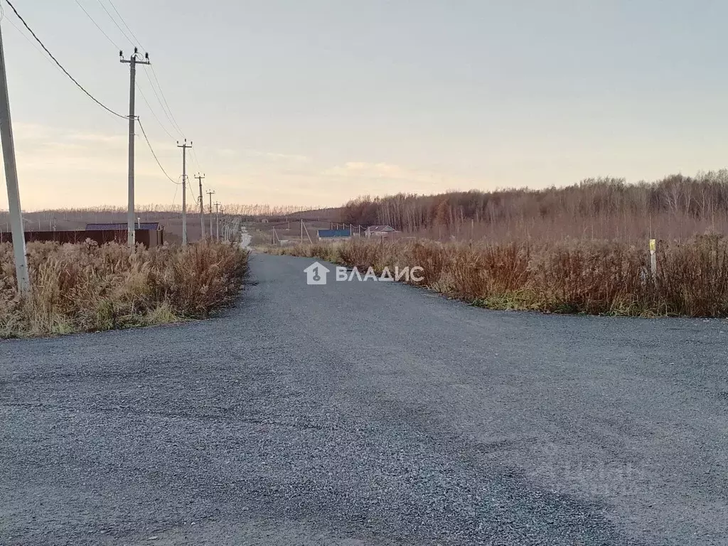 Участок в Нижегородская область, Богородский муниципальный округ, ... - Фото 1