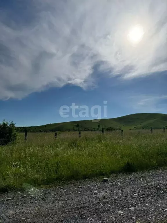 Участок в Алтай, Майминский район, с. Подгорное  (103.7 сот.) - Фото 0