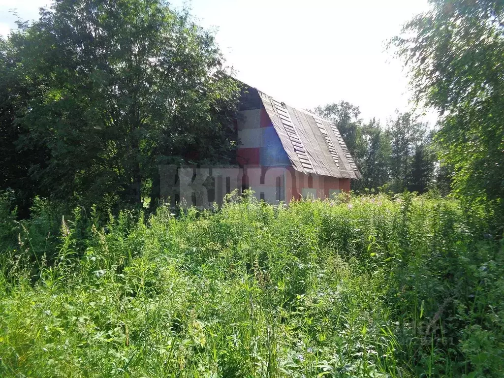 Участок в Вологодская область, Сокольский муниципальный округ, д. ... - Фото 2