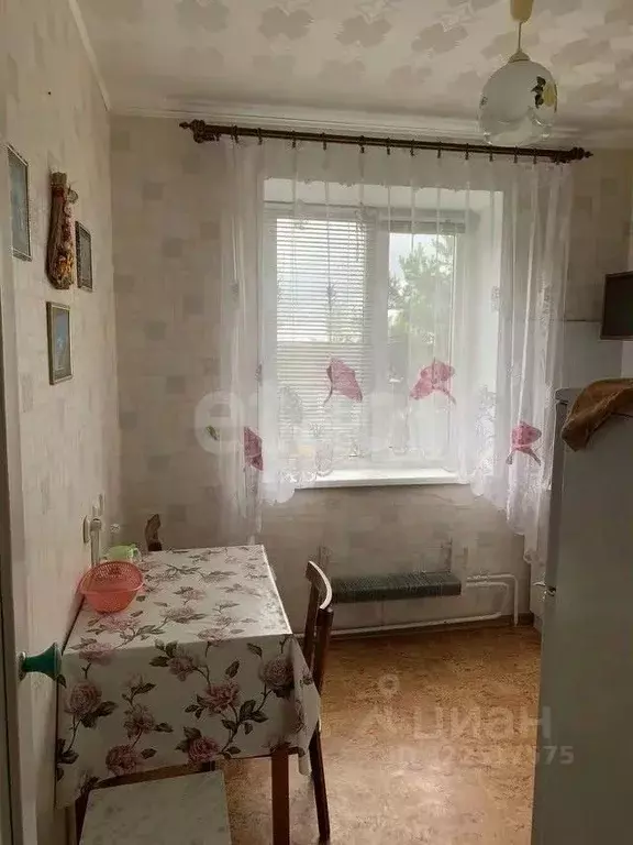 1-к кв. Вологодская область, пос. Ермаково ул. Кольцевая, 17 (33.5 м) - Фото 1