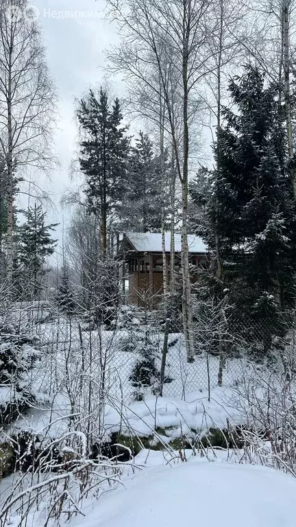 Дом в Пениковское сельское поселение, садоводческое некоммерческое ... - Фото 1