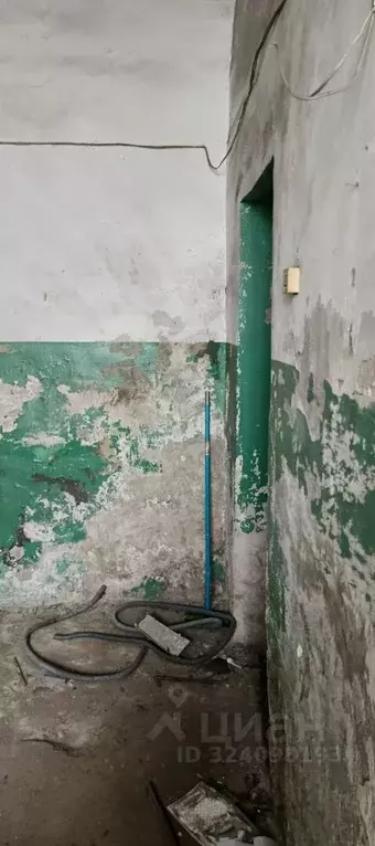 Помещение свободного назначения в Новосибирская область, Новосибирск ... - Фото 2