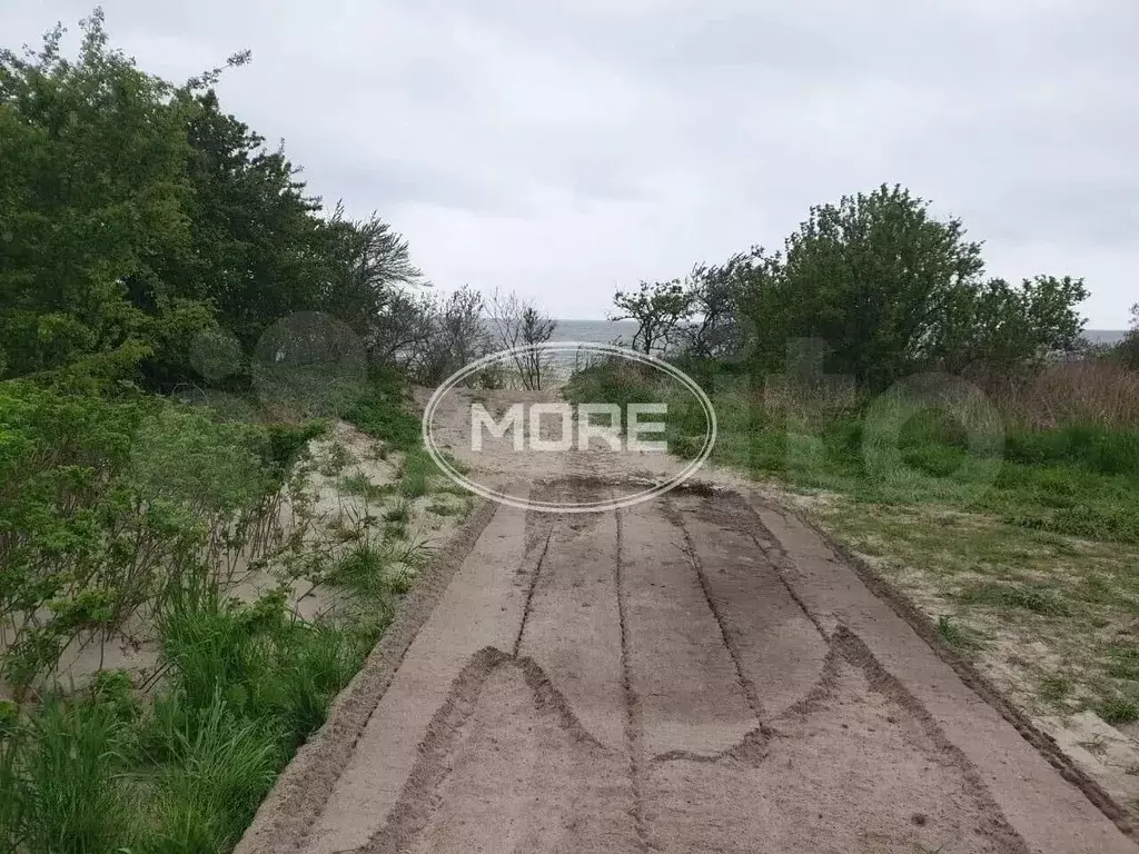 Участок 8 сот. (СНТ, ДНП) - Фото 0