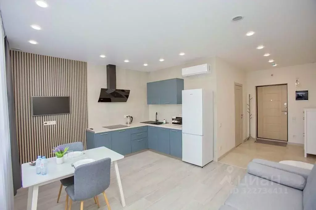 1-к кв. Нижегородская область, Нижний Новгород д. Анкудиновка, ул. ... - Фото 1