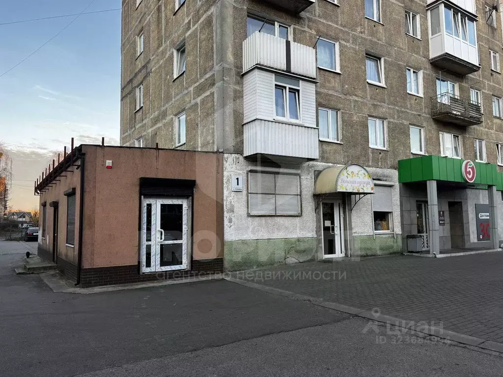 Помещение свободного назначения в Калининградская область, Светлый ул. ... - Фото 1