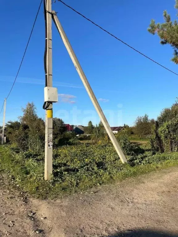 Участок в Вологодская область, Вологда Парус садоводческое ... - Фото 1