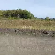 Участок в Курская область, Курск ДНТ Автолюбитель тер.,  (10.0 сот.) - Фото 0
