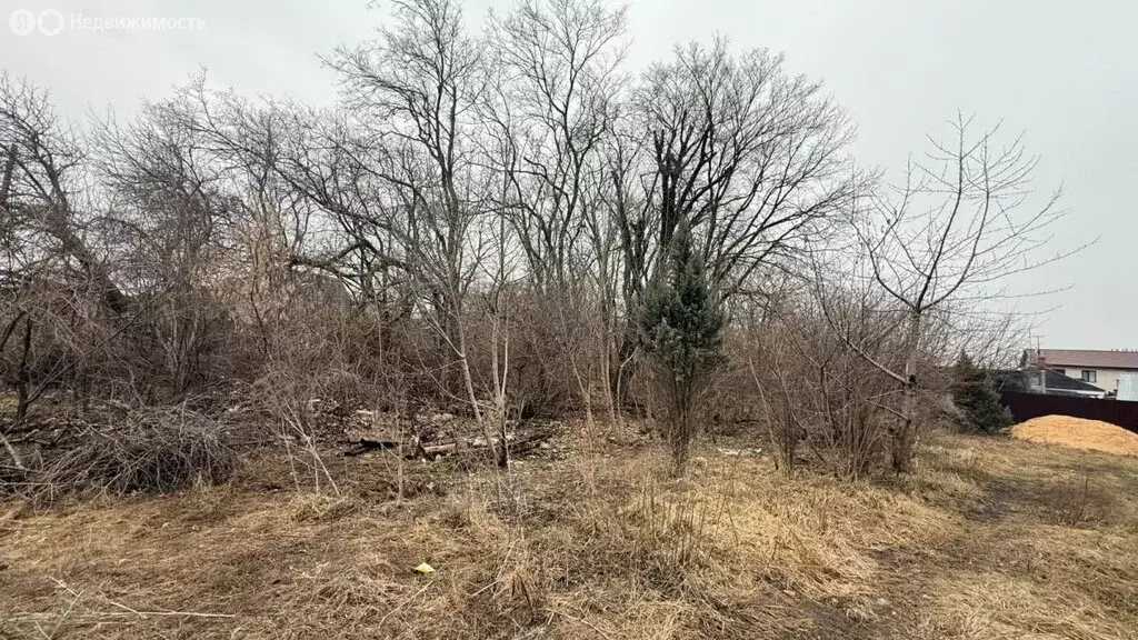 Участок в Воронеж, улица Новикова, 205В (8 м) - Фото 2