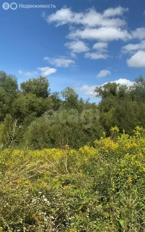 Участок в Калининградская область, Гвардейск (12 м) - Фото 1