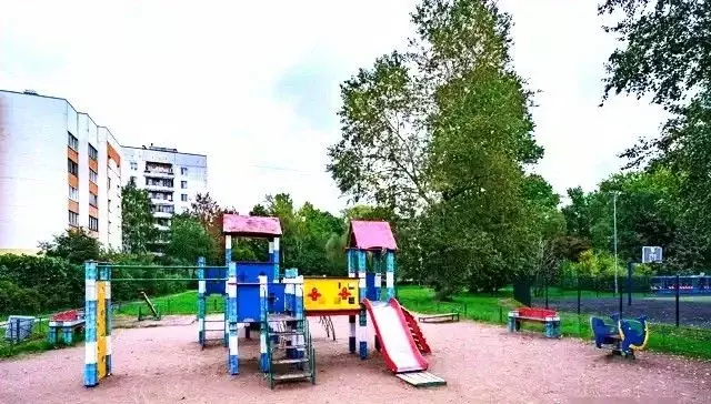 1-к кв. Санкт-Петербург Дачный просп., 29К4 (25.4 м) - Фото 2