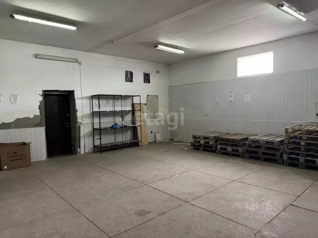 Помещение свободного назначения в Адыгея, Майкоп Курганная ул., 350 ... - Фото 0