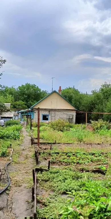 Дом в Саратовская область, с. Березина Речка  (62 м) - Фото 1