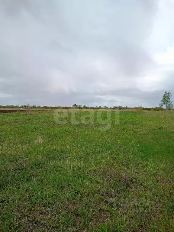 Участок в Амурская область, с. Ивановка 2 (478.0 сот.) - Фото 1