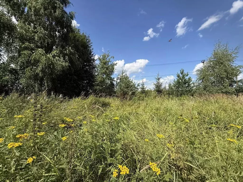 Участок в Московская область, Подольск городской округ, д. Никулино  ... - Фото 1