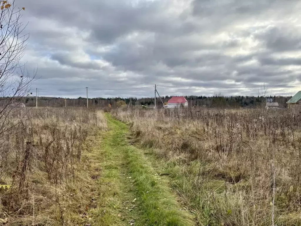 Участок в Смоленская область, Смоленский муниципальный округ, д. Борок ... - Фото 1