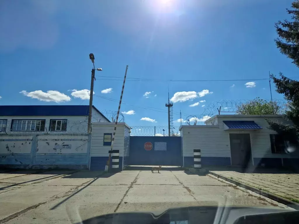 Производственное помещение в Белгородская область, Губкин Рудничная ... - Фото 1