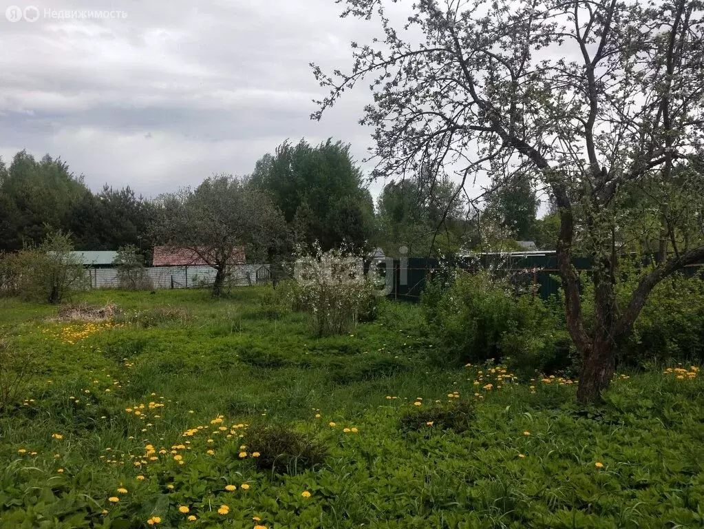 Дом в Талдомский городской округ, деревня Бурцево (39 м) - Фото 1