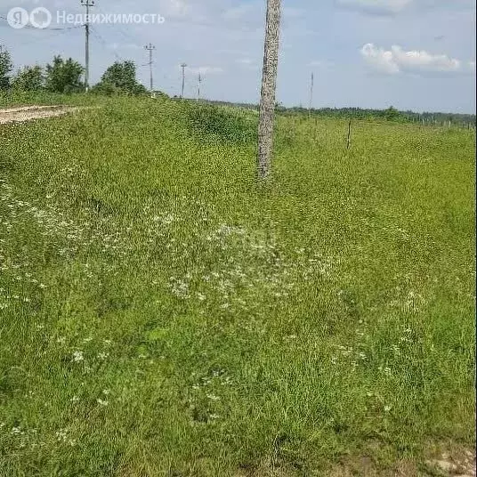 Участок в Новгородская область, Шимское городское поселение, деревня ... - Фото 0