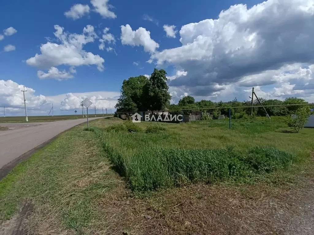 Участок в Белгородская область, Корочанский район, с. Мелихово ... - Фото 1