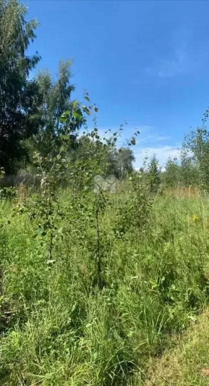 Участок в Псковская область, Гдовский район, Добручинская волость, ... - Фото 0