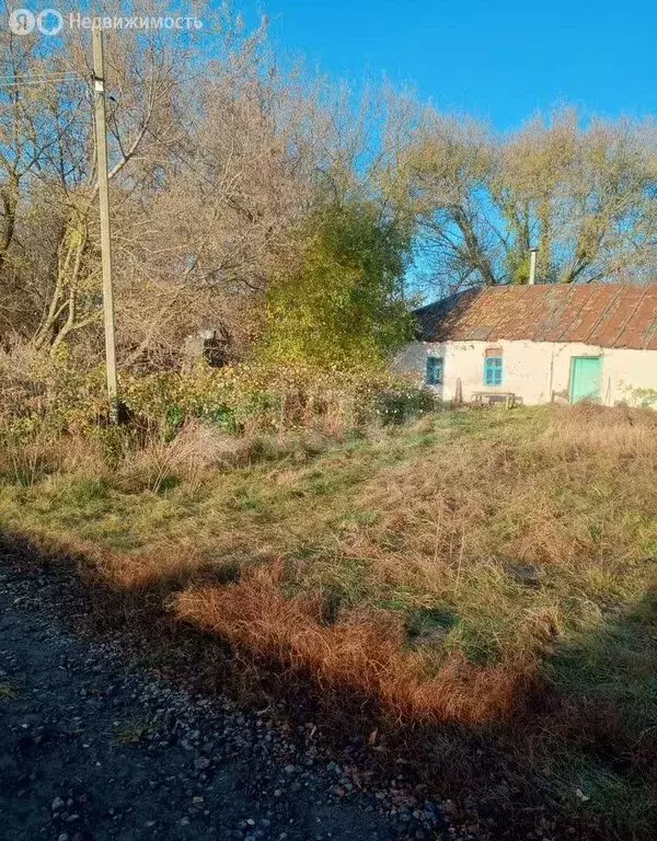 Дом в деревня Николаевка, улица Николаевка (46 м) - Фото 1