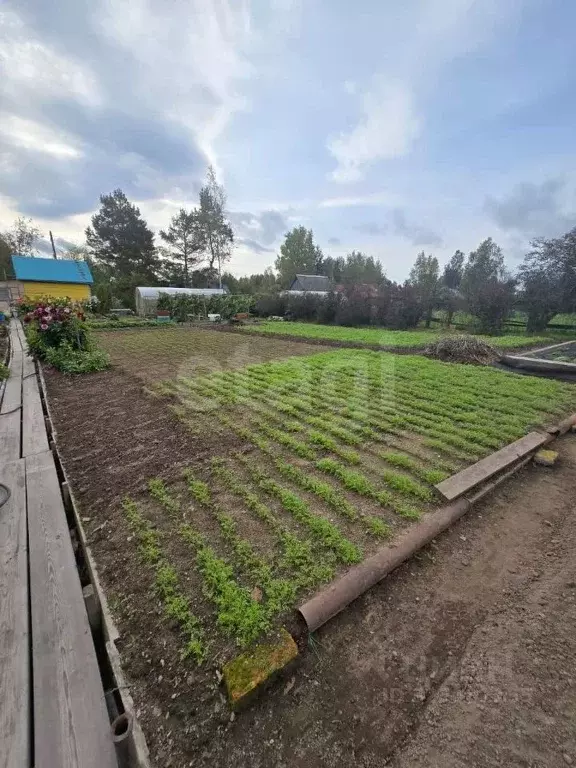 Дом в Хабаровский край, Комсомольский район, Галичное СНТ ул. ... - Фото 1