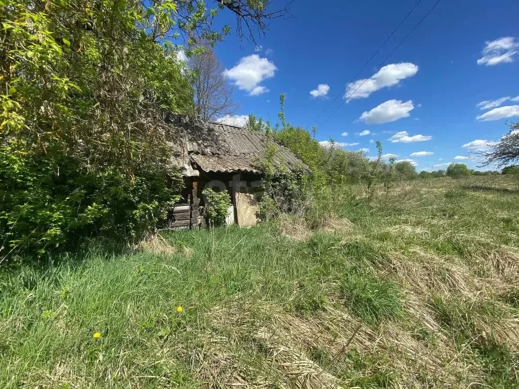 Участок в Брянская область, Почепский район, Витовское с/пос, с. ... - Фото 1