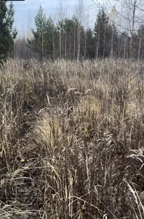 Участок в Нижегородская область, с. Безводное  (16.4 сот.) - Фото 2