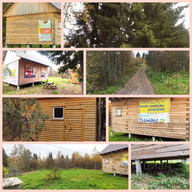 Дом в Архангельская область, Приморский муниципальный округ, Полет СНТ ... - Фото 1