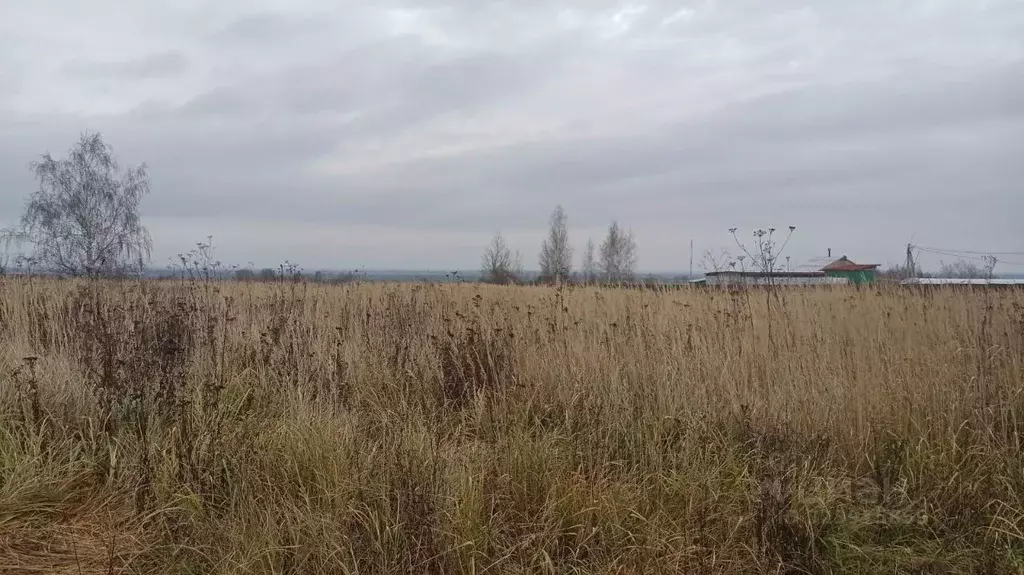 Участок в Московская область, Луховицы муниципальный округ, пос. ... - Фото 2