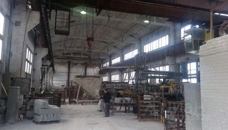 Производственное помещение в Ленинградская область, Приозерск ул. ... - Фото 1