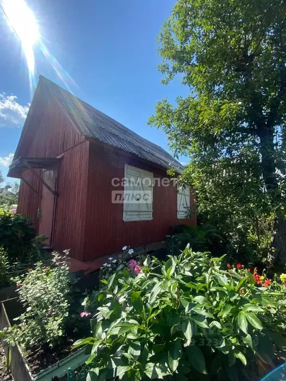 Участок в Московская область, Егорьевск Дорожник садовое товарищество, ... - Фото 1
