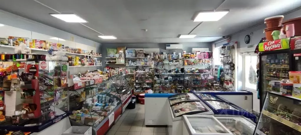 Торговая площадь в Свердловская область, Тугулым пгт ул. Ветлечебницы, ... - Фото 1