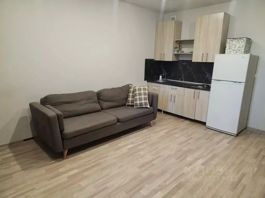 Студия Сахалинская область, Южно-Сахалинск ул. Ленина, 563к5 (33.0 м) - Фото 1