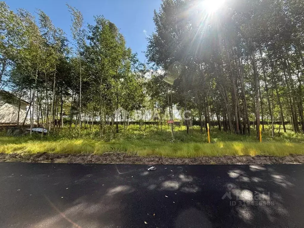 Участок в Санкт-Петербург, Санкт-Петербург, Павловск Павлов Скай кп,  ... - Фото 2