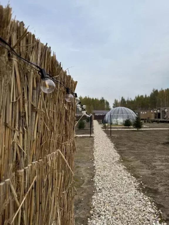 Дом в Тверская область, Конаковский муниципальный округ, ... - Фото 1