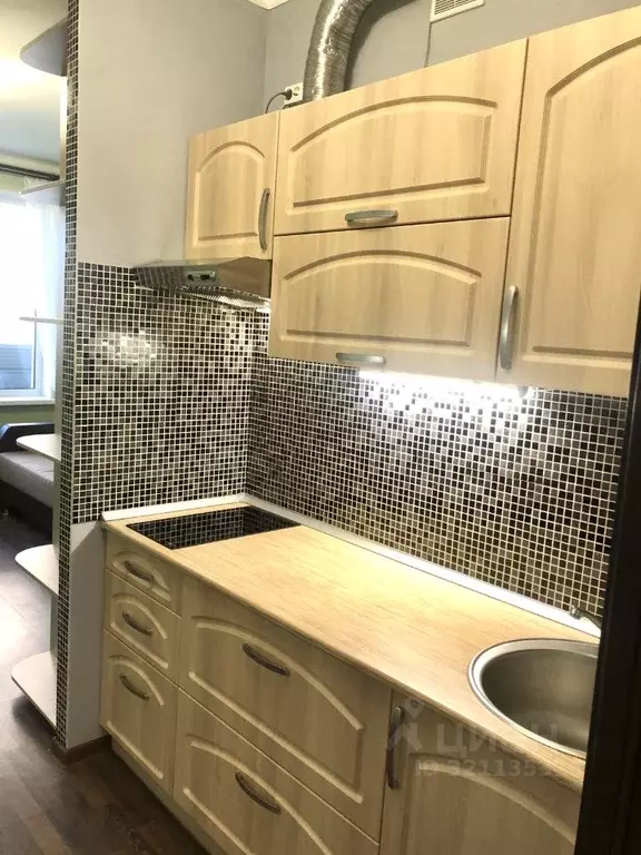 Студия Санкт-Петербург ул. Среднерогатская, 9 (30.0 м) - Фото 1