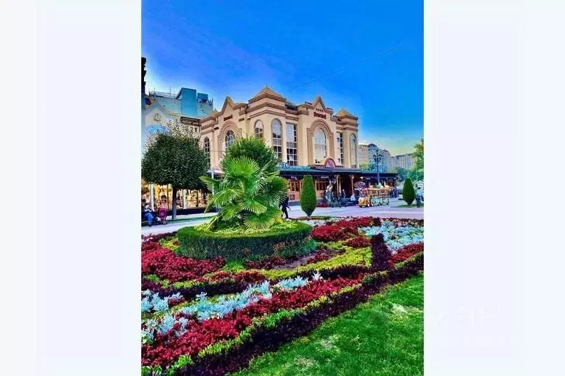 1-к кв. Ставропольский край, Кисловодск просп. Карла Маркса, 6 (25.0 ... - Фото 0
