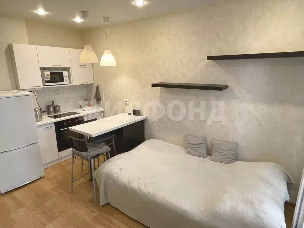 Студия Новосибирская область, Новосибирск ул. Виктора Уса, 15 (20.0 м) - Фото 1